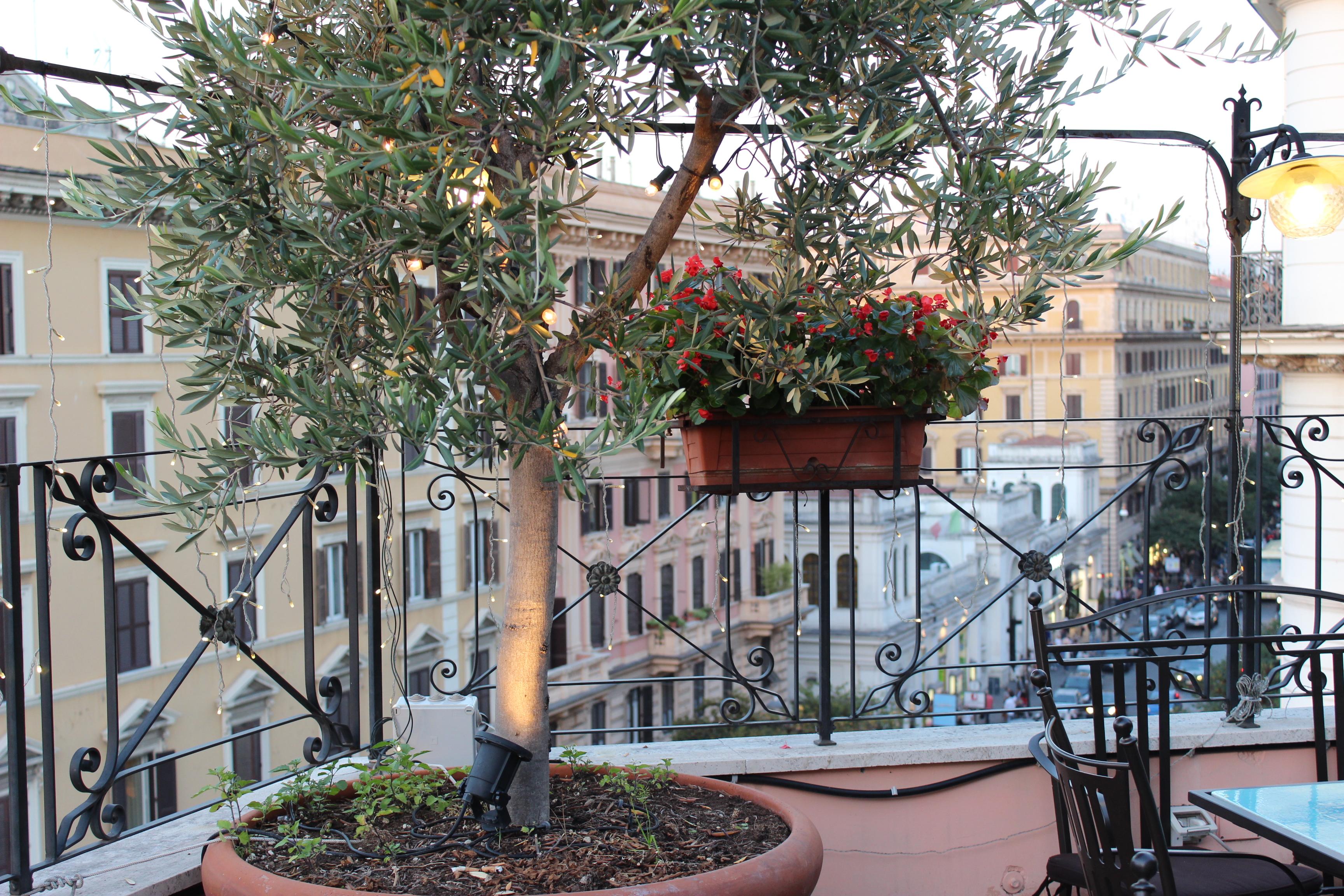 Hotel Dei Consoli Vaticano Rome Exterior photo