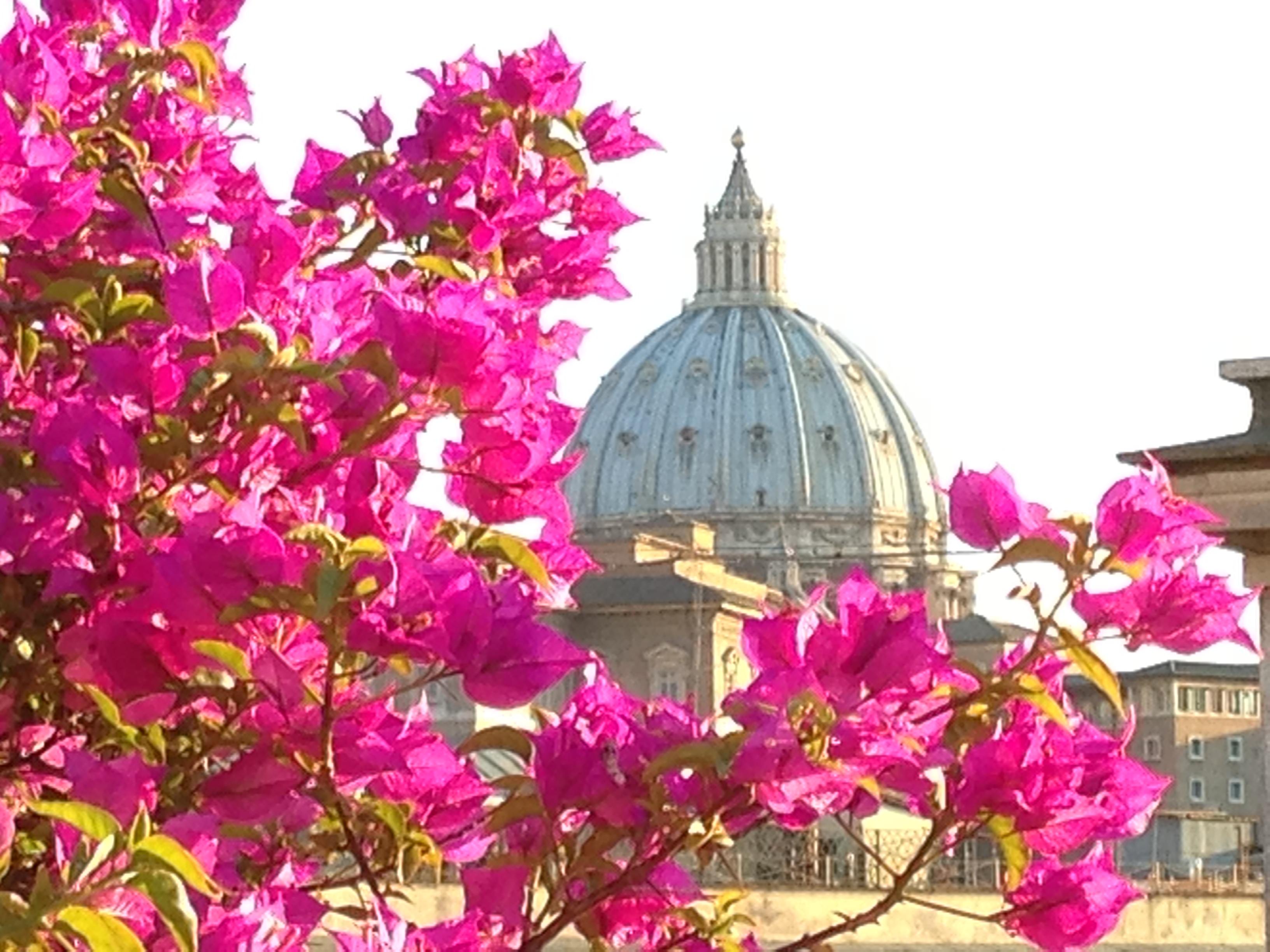 Hotel Dei Consoli Vaticano Rome Exterior photo