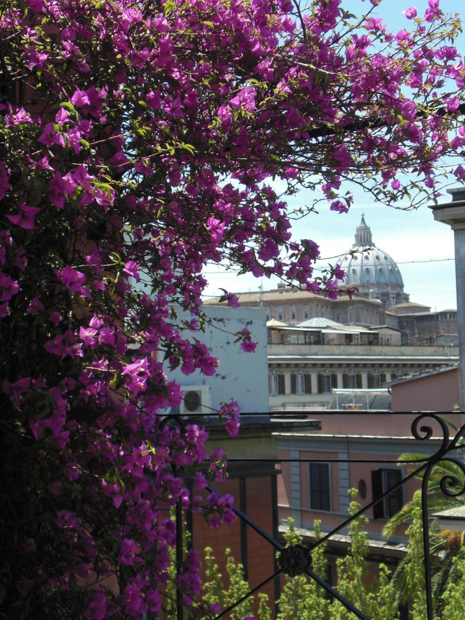 Hotel Dei Consoli Vaticano Rome Exterior photo